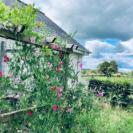Cargagh Cottage Annacloy ภายนอก รูปภาพ