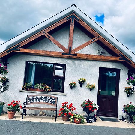 Cargagh Cottage Annacloy ภายนอก รูปภาพ