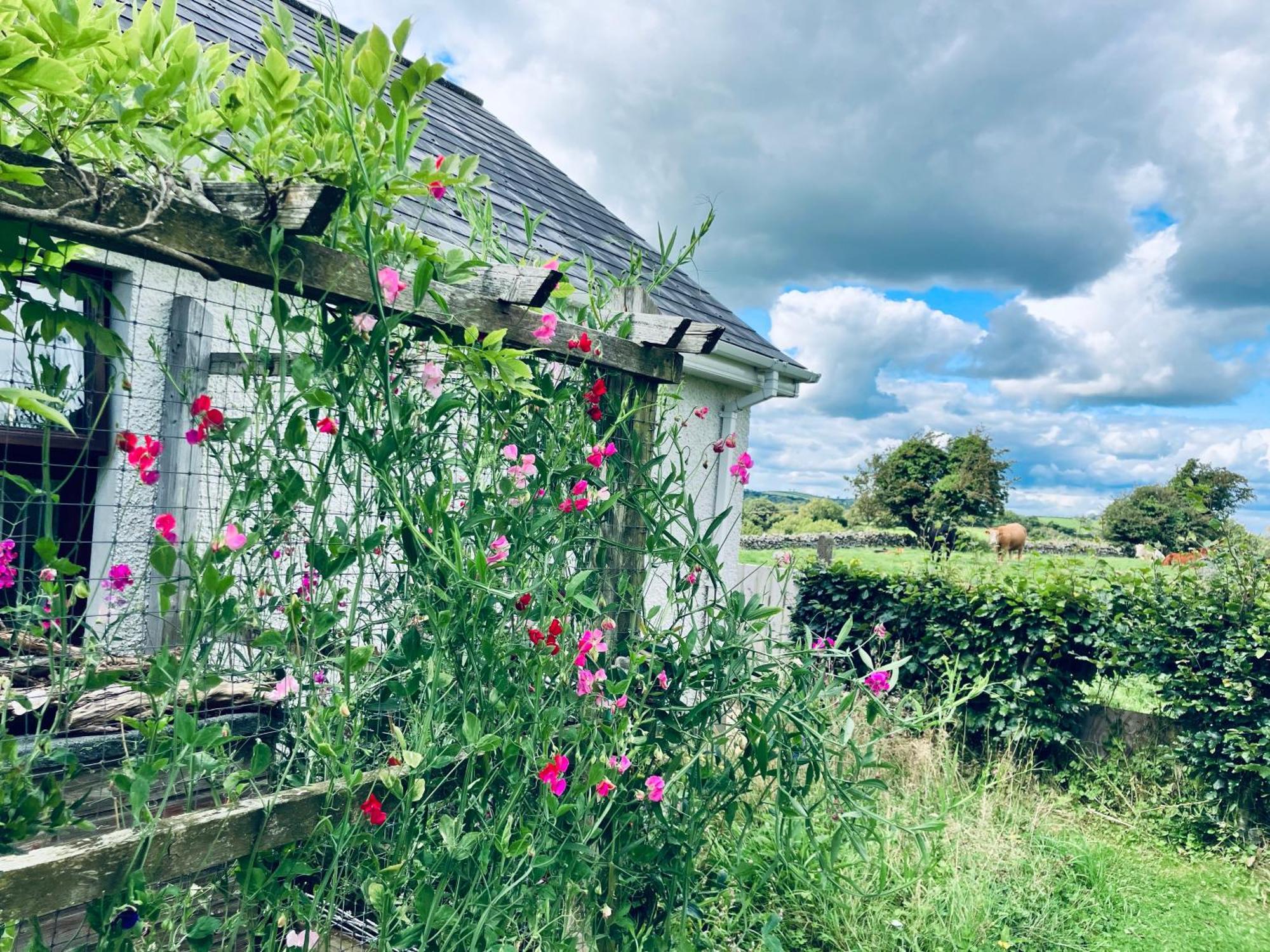 Cargagh Cottage Annacloy ภายนอก รูปภาพ